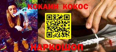 спайс Кингисепп