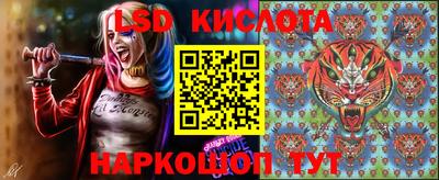 спайс Кингисепп