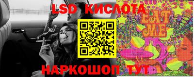 спайс Кингисепп