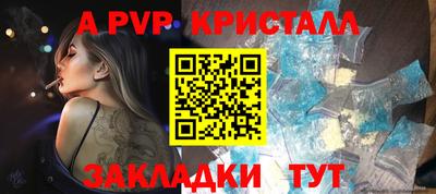 спайс Кингисепп
