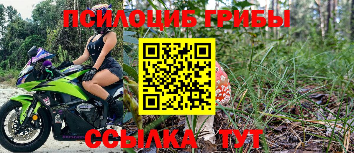 Псилоцибиновые грибы GOLDEN TEACHER  Вход с VPN  Кизилюрт 